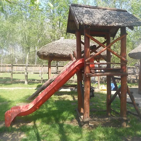 Tamas Lovastanya * Debrecen
