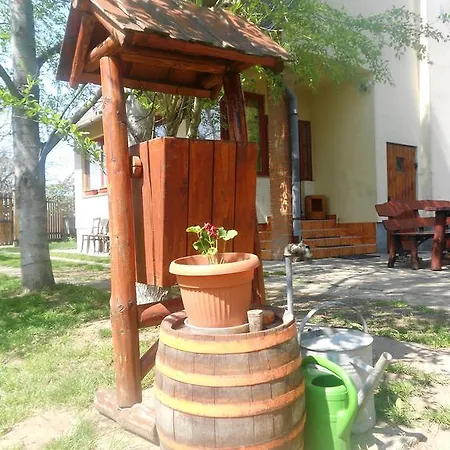 Tamas Lovastanya Gæstehus Debrecen