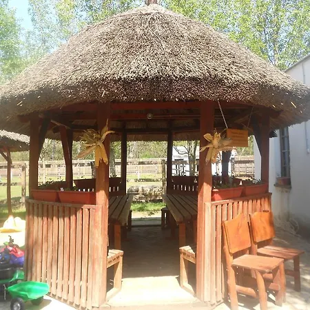 Tamas Lovastanya Debrecen