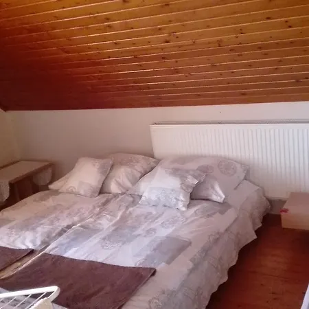 Tamas Lovastanya Gæstehus Debrecen